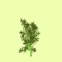 greenshift tree