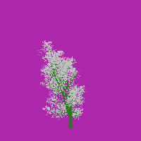 greenshift tree
