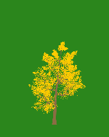 greenshift tree