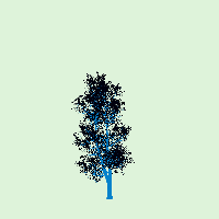 greenshift tree