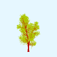 greenshift tree