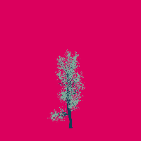greenshift tree