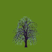 greenshift tree
