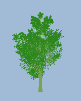 greenshift tree