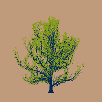 greenshift tree
