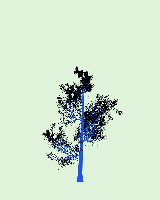 greenshift tree