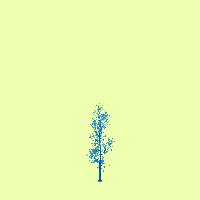 greenshift tree