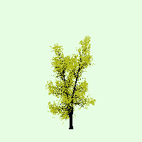 greenshift tree