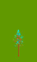 greenshift tree