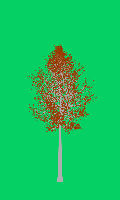 greenshift tree