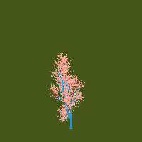 greenshift tree