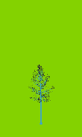 greenshift tree