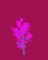 greenshift tree