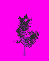 greenshift tree