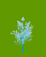 greenshift tree