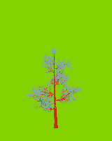 greenshift tree