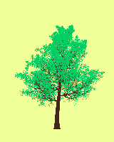 greenshift tree