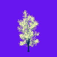 greenshift tree