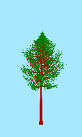 greenshift tree