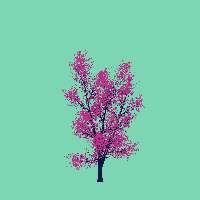 greenshift tree