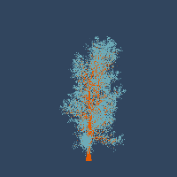 greenshift tree