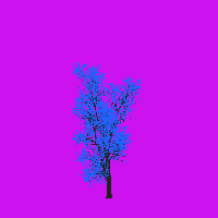 greenshift tree