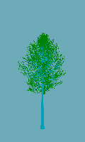 greenshift tree