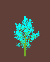 greenshift tree