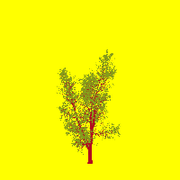 greenshift tree