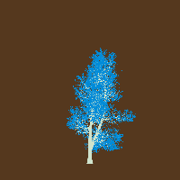 greenshift tree