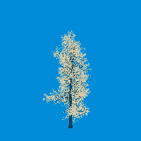 greenshift tree