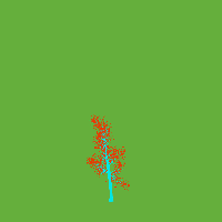 greenshift tree