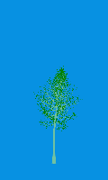 greenshift tree