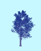 greenshift tree