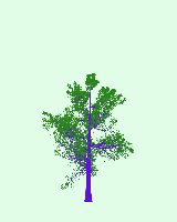 greenshift tree