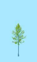 greenshift tree