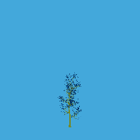 greenshift tree
