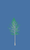 greenshift tree