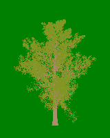 greenshift tree