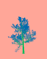 greenshift tree
