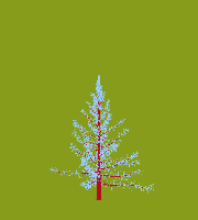 greenshift tree