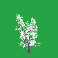 greenshift tree