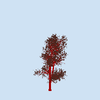 greenshift tree