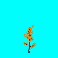 greenshift tree