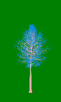 greenshift tree