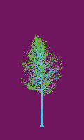 greenshift tree