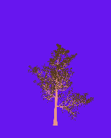greenshift tree