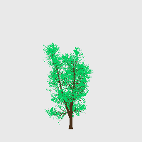 greenshift tree