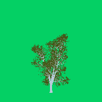 greenshift tree