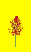 greenshift tree